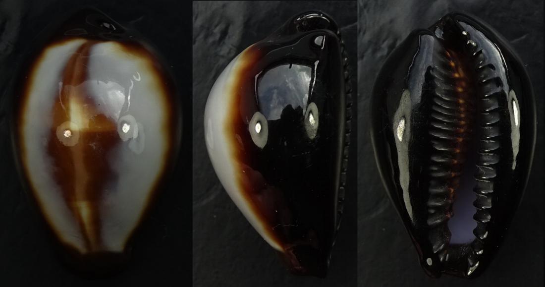C.onyx onyx ' superb quality '
